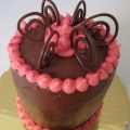 Chocolate Cake with Chocolate and Raspberry Frostings