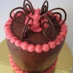 Chocolate Cake with Chocolate and Raspberry Frostings